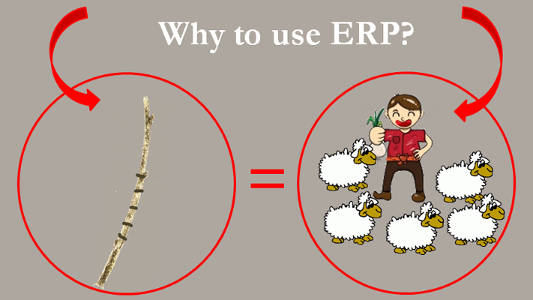 Part I. Why should even a small business use ERP?