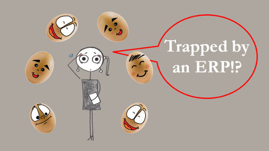 Part II. How to avoid being trapped by an ERP?